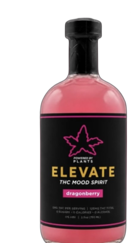 Elevate Dragonberry — Powered by Plants Mood House