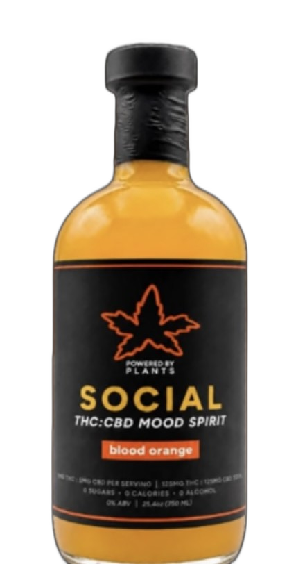 Social Blood Orange — Powered by Plants Mood House